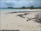 Spreckelville, Paia, Maui Hawaii  <a href="http://www.garybland.com">http://www.garybland.com</a>
      
      <a href=" http://www.realestatemaui.us">Visit my Maui Real Estate weblog.</a>
      
