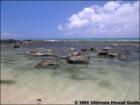 Spreckelville, Paia, Maui Hawaii  <a href="http://www.garybland.com">http://www.garybland.com</a>
      
      <a href=" http://www.realestatemaui.us">Visit my Maui Real Estate weblog.</a>
      