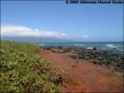 Spreckelville, Paia, Maui Hawaii  <a href="http://www.garybland.com">http://www.garybland.com</a>
      
      <a href=" http://www.realestatemaui.us">Visit my Maui Real Estate weblog.</a>
      