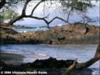 Makena Landing, Makena, Maui Hawaii  <a href="http://www.garybland.com">http://www.garybland.com</a>
      
      <a href=" http://www.realestatemaui.us">Visit my Maui Real Estate weblog.</a>
      