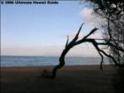 Oneuli Beach, Makena, Maui Hawaii  <a href="http://www.garybland.com">http://www.garybland.com</a>
      
      <a href=" http://www.realestatemaui.us">Visit my Maui Real Estate weblog.</a>
      