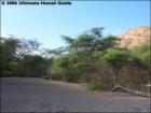 Oneuli Beach, Makena, Maui Hawaii  <a href="http://www.garybland.com">http://www.garybland.com</a>
      
      <a href=" http://www.realestatemaui.us">Visit my Maui Real Estate weblog.</a>
      