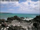 La Perouse Bay Beach, Makena, Maui Hawaii  <a href="http://www.garybland.com">http://www.garybland.com</a>
      
      <a href=" http://www.realestatemaui.us">Visit my Maui Real Estate weblog.</a>
      