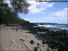 La Perouse Bay Beach, Makena, Maui Hawaii  <a href="http://www.garybland.com">http://www.garybland.com</a>
      
      <a href=" http://www.realestatemaui.us">Visit my Maui Real Estate weblog.</a>
      