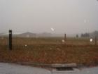 horse farm on Diamond Lake Rd, just as the snow started falling(the white spots in the photo are snowflakes!