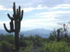 Rio Verde Foothills acreage starting at $155,000. Peaceful area with a Scottsdale address. Min. 1 acre parcels to secure your privacy.