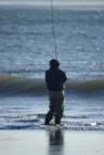 fishing in the surf at Damon Pt