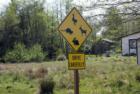Look out for the wildlife!