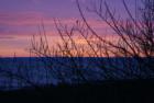 Sunrise over Grays Harbor Bay