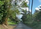 Stable Road in Spreckelsville - home to many wealthy windsurfers