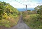 East Waipio Rd on the north shore of Maui - homes for sale down this road - call The Hunter