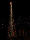 Reid Park "Zoo Lights" festival