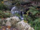 Kanapaha Botanical Gardens - Gainesville, Florida. Submitted by Bosshardt Realty - www.BosshardtRealty.com