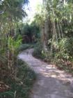 Kanapaha Botanical Gardens - Gainesville, Florida. Submitted by Bosshardt Realty - www.BosshardtRealty.com