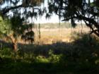 Kanapaha Botanical Gardens - Gainesville, Florida. Submitted by Bosshardt Realty - www.BosshardtRealty.com