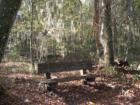 Devil's Millhopper State Park in Gainesville, Florida. Submitted by Bosshardt Realty - www.BosshardtRealty.com