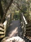 Devil's Millhopper State Park in Gainesville, Florida. Submitted by Bosshardt Realty - www.BosshardtRealty.com