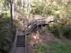 Devil's Millhopper State Park in Gainesville, Florida. Submitted by Bosshardt Realty - www.BosshardtRealty.com