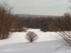 Fiano Farmland on top of Birch Mountain