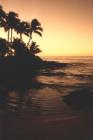Sunrise on The Beach