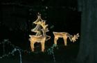 Christmas - Santa Barbara 