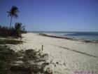 Zach Taylor Park Beach