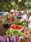 Lake Eola Farmers Market, Downtown Orlando