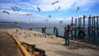 Photograph with permission of young lady and her parents. This was a special day for them and they had traveled several hours to feed the birds at Long Beach Harbor.