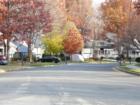 Typical fall street scene in Montclair