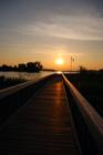 Boardwalk at the North Carolina Estuarium