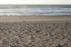 Looking west toward Pacific Ocean
