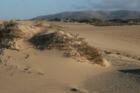 Guadalupe dunes 