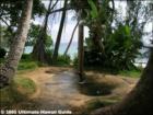 Charley Young Beach Park, Kihei, Maui Hawaii  <a href="http://www.garybland.com">http://www.garybland.com</a>
      
      <a href=" http://www.realestatemaui.us">Visit my Maui Real Estate weblog.</a>