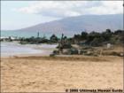 Charley Young Beach Park, Kihei, Maui Hawaii  <a href="http://www.garybland.com">http://www.garybland.com</a>
      
      <a href=" http://www.realestatemaui.us">Visit my Maui Real Estate weblog.</a>