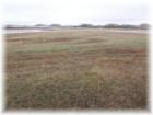 typical back pasture on a typical property