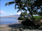 Kalepolepo Beach Park, Kihei, Maui Hawaii  <a href="http://www.garybland.com">http://www.garybland.com</a>
      
      <a href=" http://www.realestatemaui.us">Visit my Maui Real Estate weblog.</a>