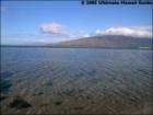 Kalepolepo Beach Park, Kihei, Maui Hawaii  <a href="http://www.garybland.com">http://www.garybland.com</a>
      
      <a href=" http://www.realestatemaui.us">Visit my Maui Real Estate weblog.</a>