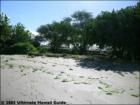 Kalepolepo Beach Park, Kihei, Maui Hawaii  <a href="http://www.garybland.com">http://www.garybland.com</a>
      
      <a href=" http://www.realestatemaui.us">Visit my Maui Real Estate weblog.</a>