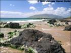 Kamaole Beach Park Three, Kihei, Maui Hawaii  <a href="http://www.garybland.com">http://www.garybland.com</a>
      
      <a href=" http://www.realestatemaui.us">Visit my Maui Real Estate weblog.</a>