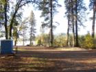 Lake Francis in the morning