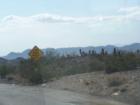 Just outside Newberry Springs