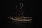 Lighted Boat Parade