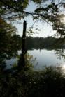 2nd Mill Pond