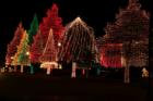 Swan Lake and Iris Garden Fantasy of Lights 2