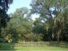 Ar119784196144617_l