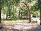 Ar119784250818818_l