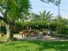 Backyard park like setting in a SE Cape home.