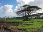 vacant land for sale in spreckelsville maui, december 2007