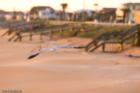 Early morning pink calm, shot by Jon Hardison in Flagler Beach, FL
