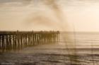 The Flagler Pier through the Sea Oat.
      Photo by: Jon Hardison